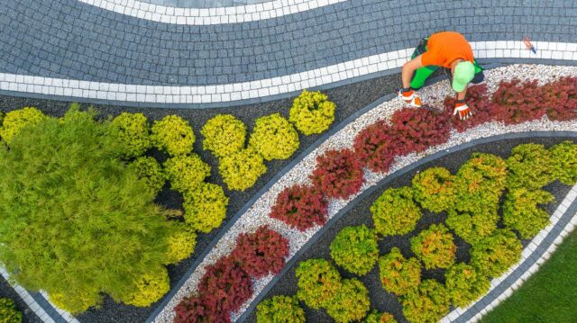 Commercial Landscaping