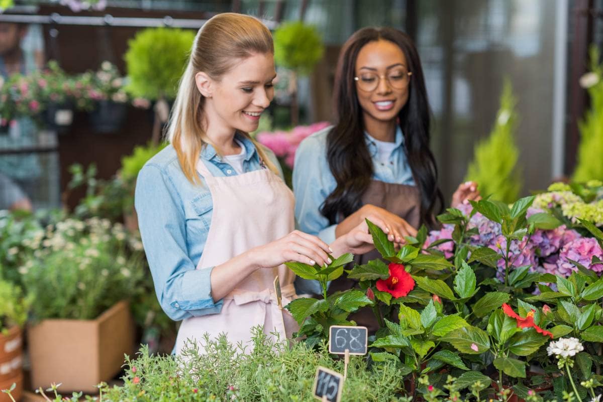 Commercial Landscaping