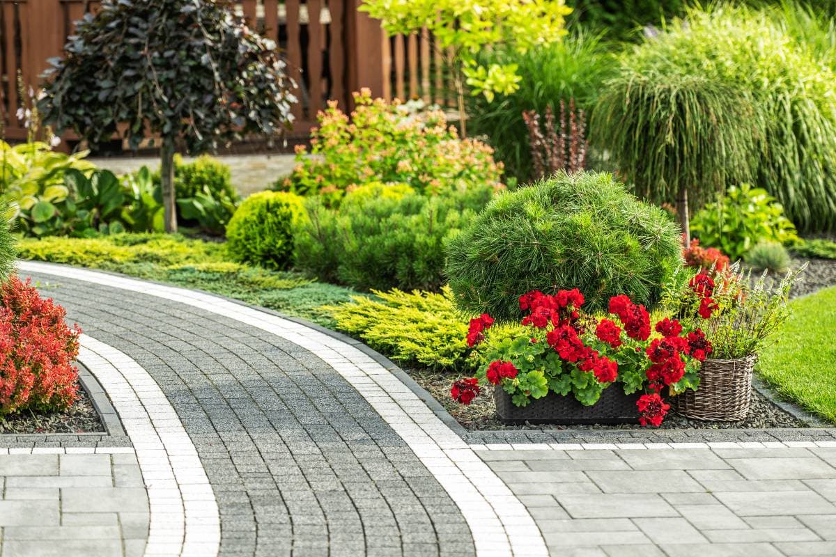 Cost-Effective Commercial Landscaping