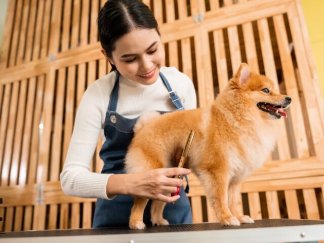 what your pet grooming lease in eagle rock must cover