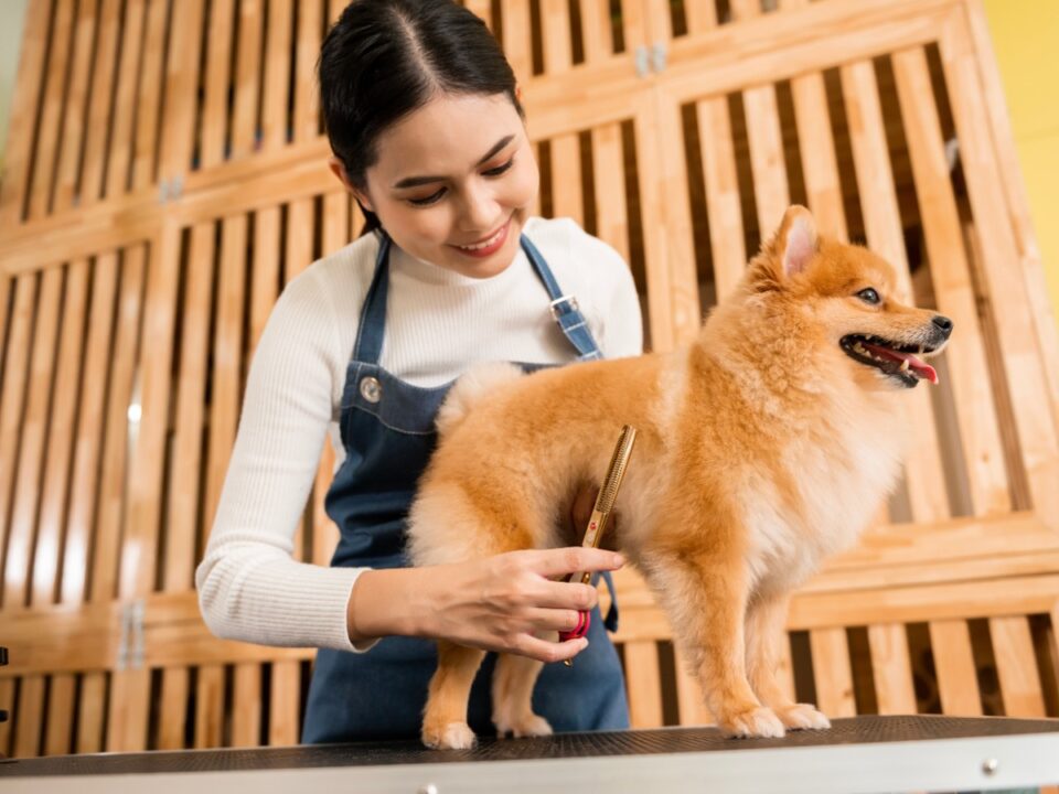 what your pet grooming lease in eagle rock must cover