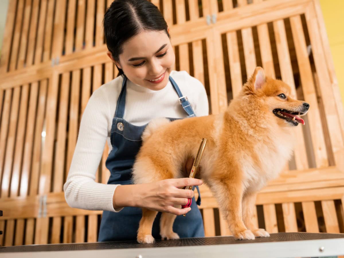 what your pet grooming lease in eagle rock must cover
